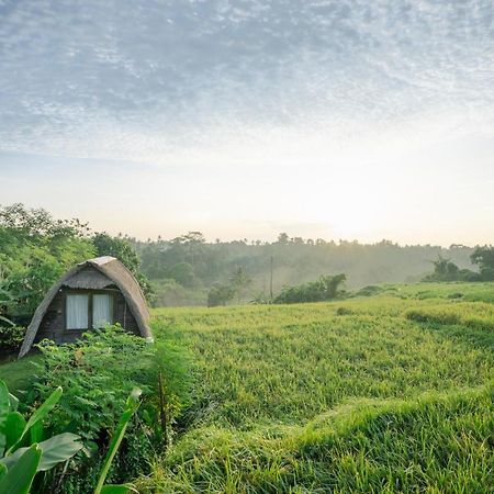 Willa The Tetamian Bali Sukawati Zewnętrze zdjęcie